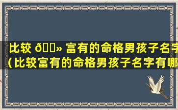 比较 🌻 富有的命格男孩子名字（比较富有的命格男孩子名字有哪些）